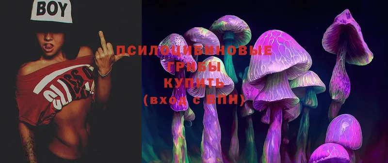 mega маркетплейс  Гдов  Галлюциногенные грибы Cubensis 